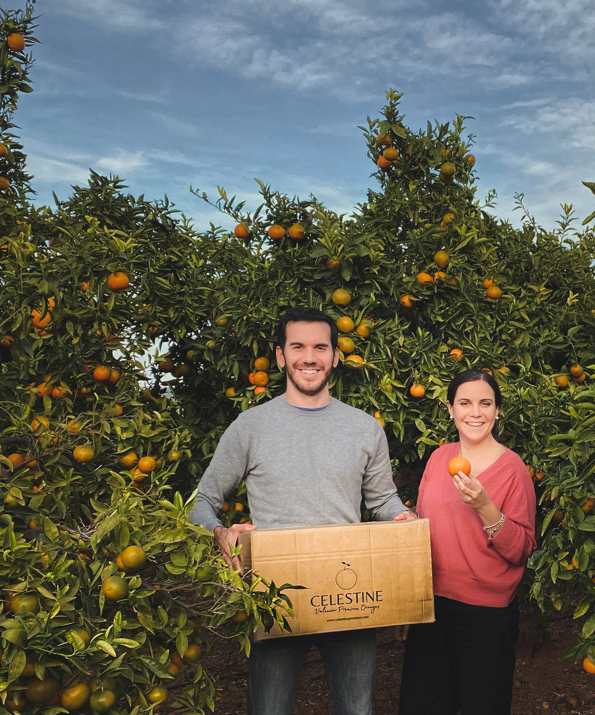 La familia de Celestine con una caja entre los naranjos