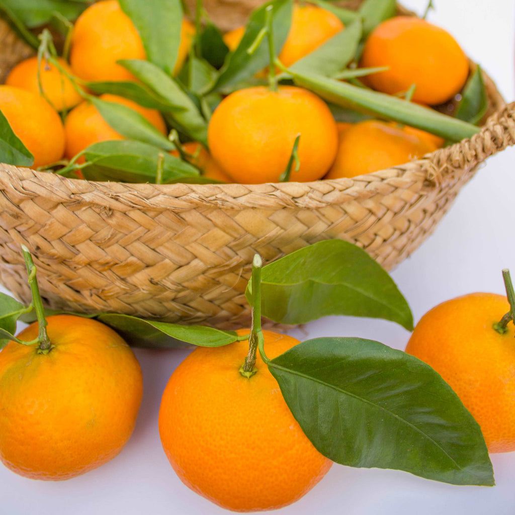 Mandarinas Clemenules. Fruta fresca de temporada. Recolectada al momento. Del árbol a tu casa.